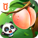 奥斯梅恩：职业生涯受过比这更重的伤，手臂骨折算不了大问题